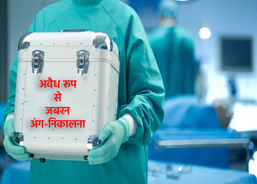 Image for article 