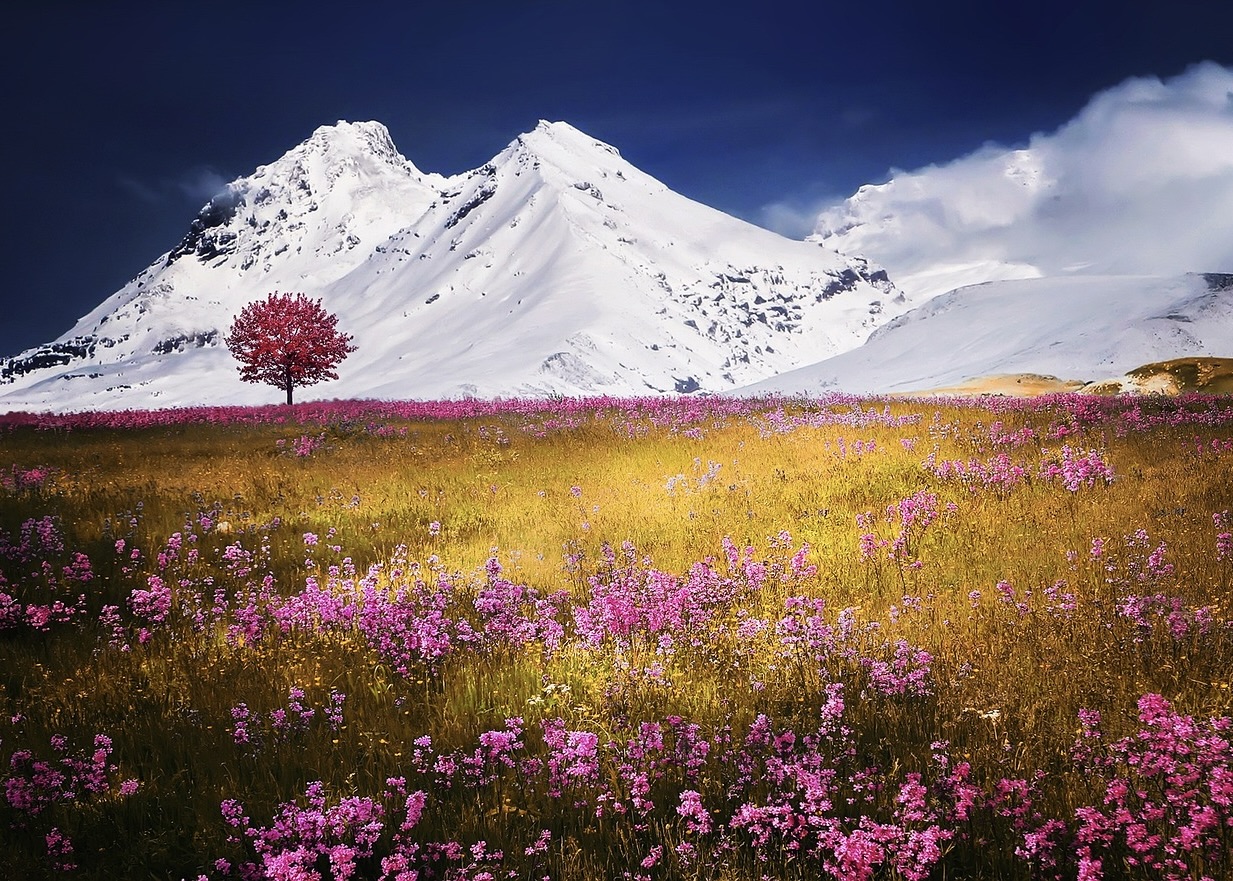 Image for article ​वीडियो देखने की लत को त्यागने के बाद मैंने कठिनाइयों पर विजय प्राप्त की