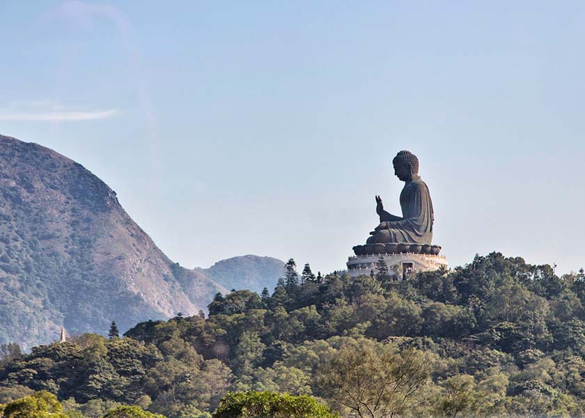 Image for article जुआन फालुन ने मुझे कम्युनिस्ट जाल से बाहर निकलने में मार्गदर्शन किया