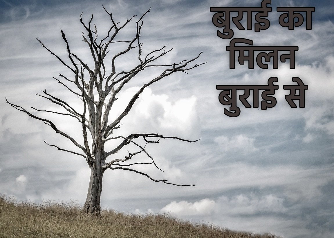 Image for article ​पारंपरिक चीनी संस्कृति: लालच के नुकसान