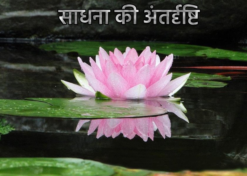 Image for article ​फालुन दाफा के स्टॉल पर दिल को छू लेने वाली मुलाकातें