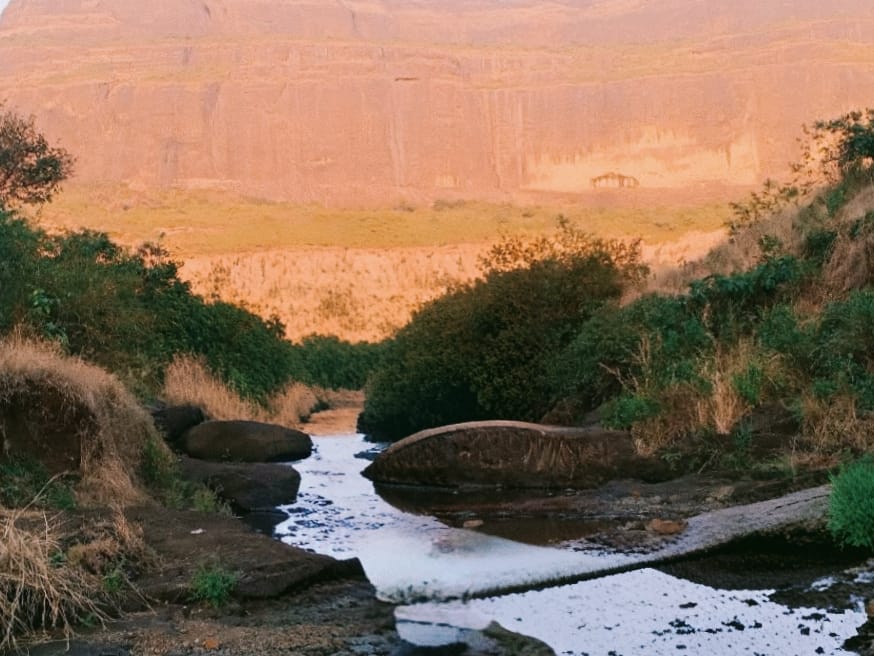 Image for article ​अपने ​अंतर्मन की ओर देखना अद्भुत है